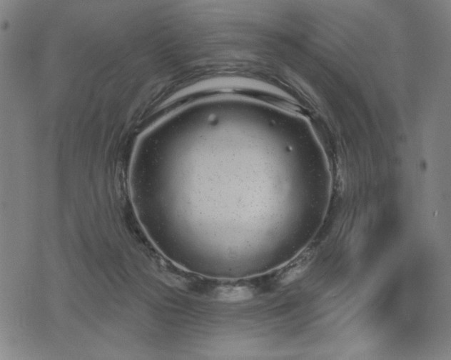 X0000076320169200610061419