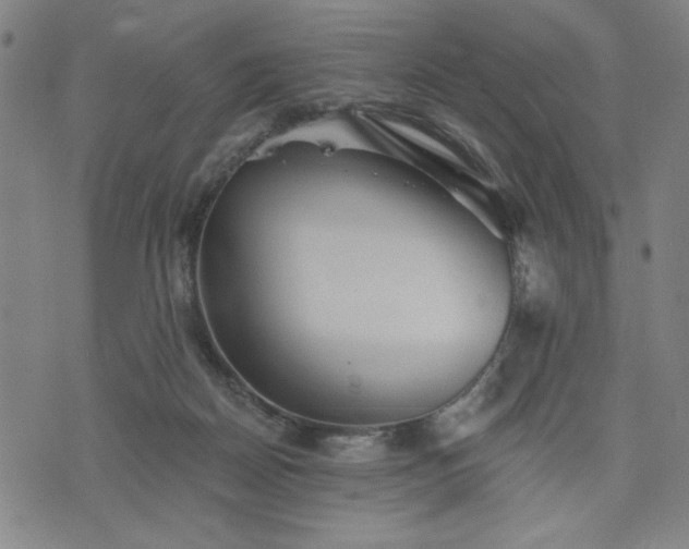 X0000076320170200610061419