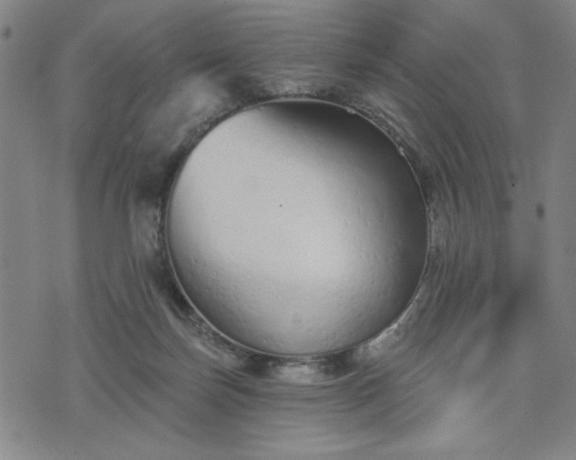 X0000076320171200610061419