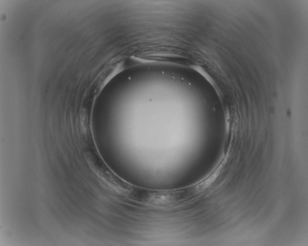 X0000076320174200610061419