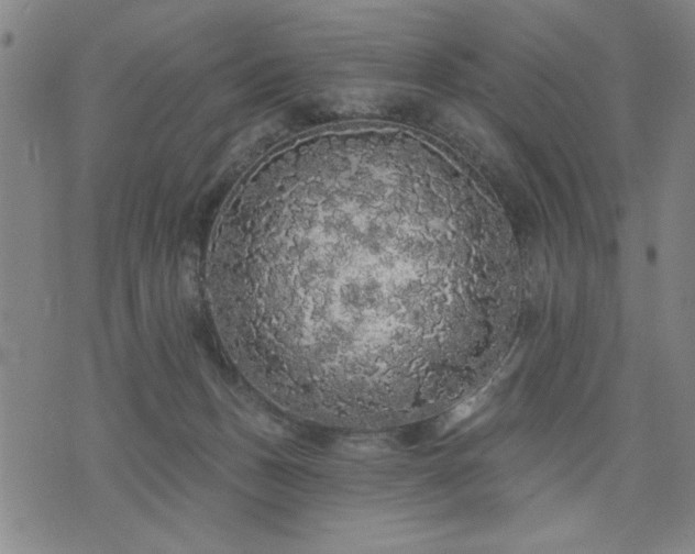 X0000076320175200610061419