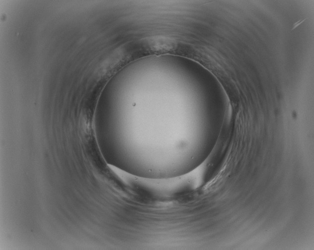 X0000076320176200610061419