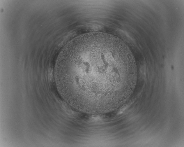 X0000076320177200610061419