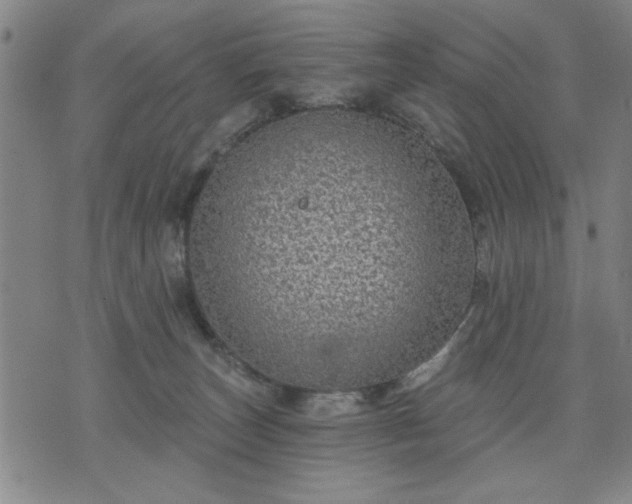 X0000076320179200610061419