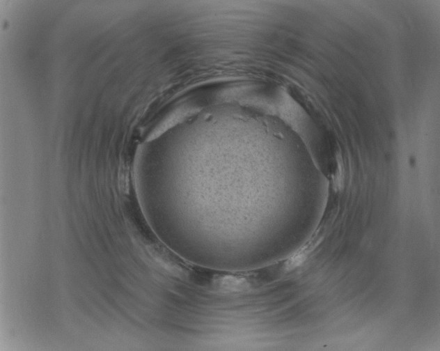 X0000076320180200610061419