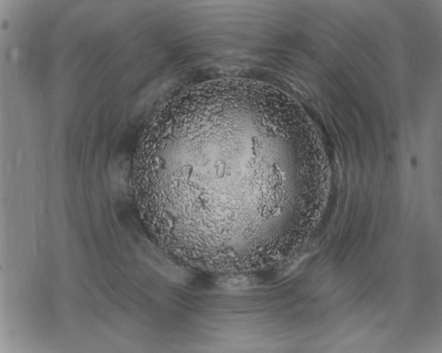 X0000076320181200610061419