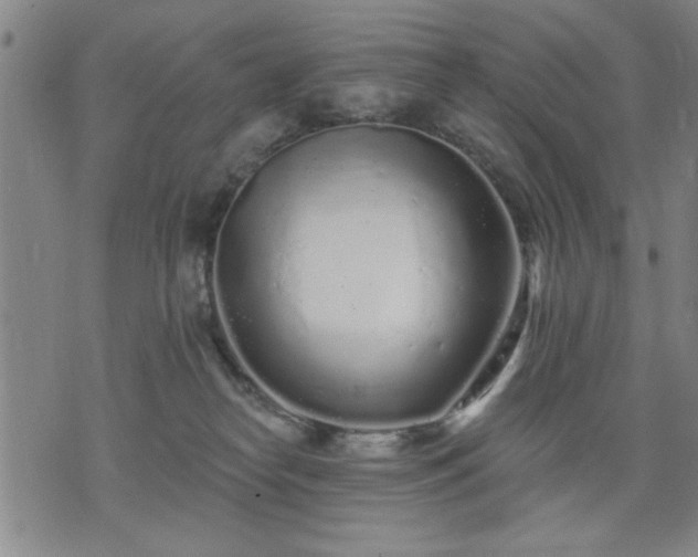 X0000076320182200610061419