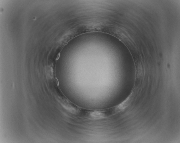 X0000076320183200610061419