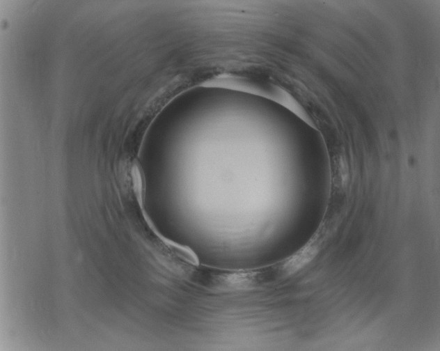 X0000076320184200610061419