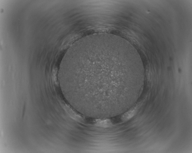 X0000076320185200610061419