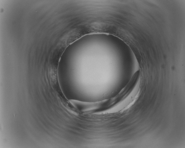 X0000076320186200610061419