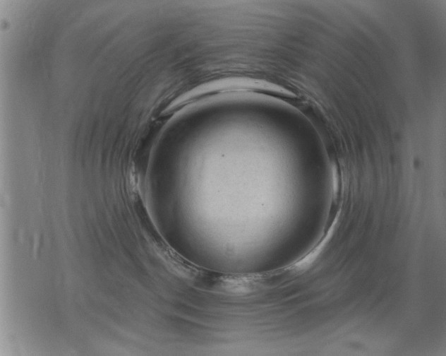 X0000076320190200610061420