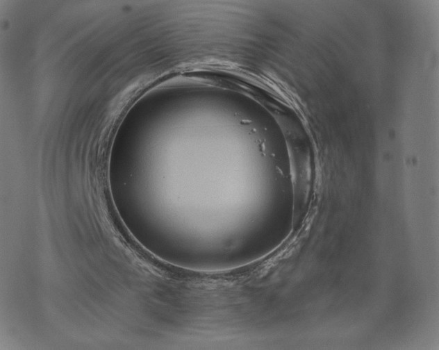 X0000076320193200610061419