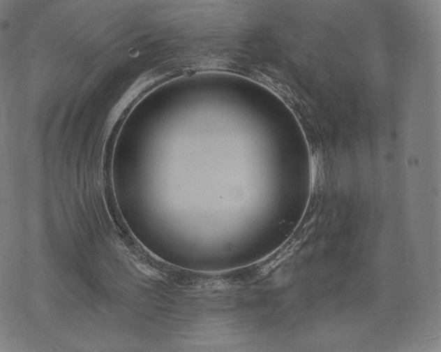 X0000076320195200610061419