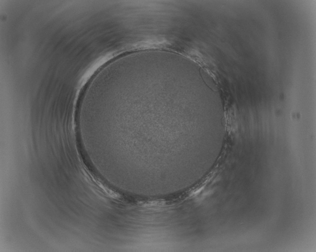 X0000076320196200610061419