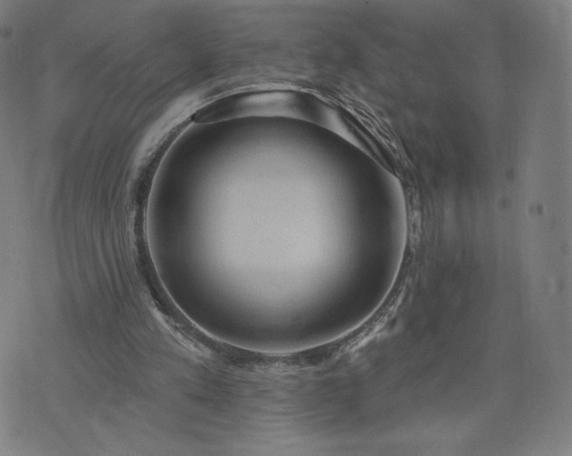 X0000076320197200610061419