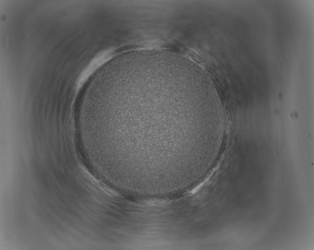 X0000076320198200610061419