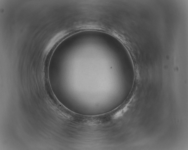 X0000076320199200610061419