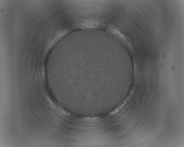 X0000076320202200610061419