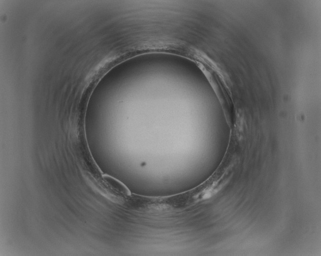 X0000076320203200610061419