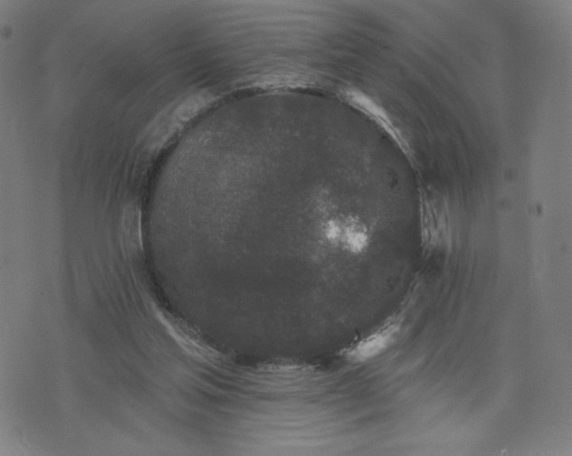 X0000076320205200610061419