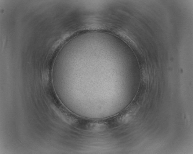 X0000076320208200610061419