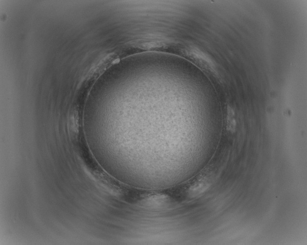 X0000076320210200610061418