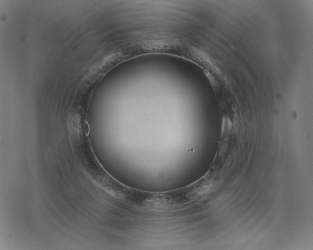 X0000076320211200610061418