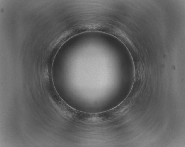 X0000076320212200610061418