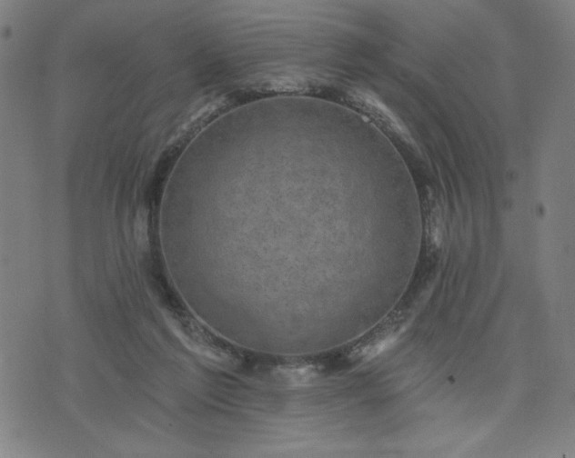 X0000076320213200610061418