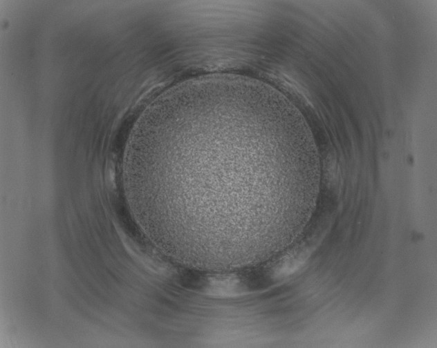 X0000076320214200610061418