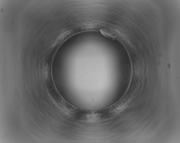 X0000076320216200610061418