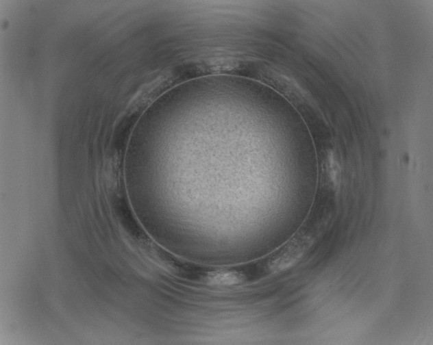 X0000076320218200610061418