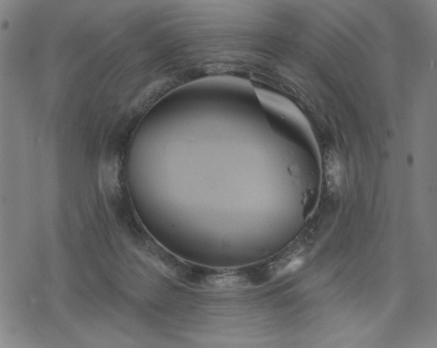 X0000076320219200610061418