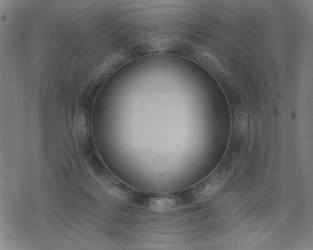 X0000076320220200610061418