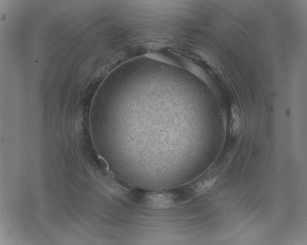 X0000076320221200610061418