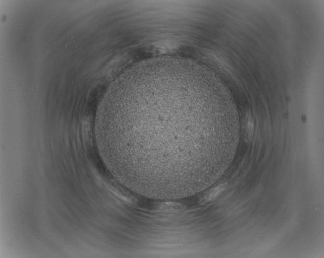 X0000076320222200610061418