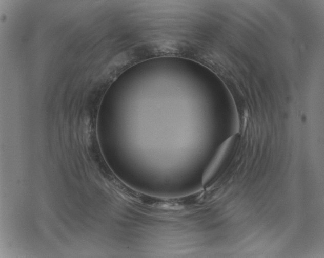 X0000076320223200610061418