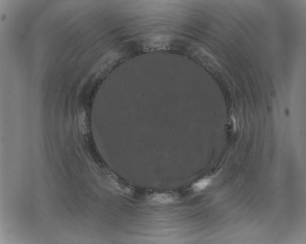 X0000076320224200610061418