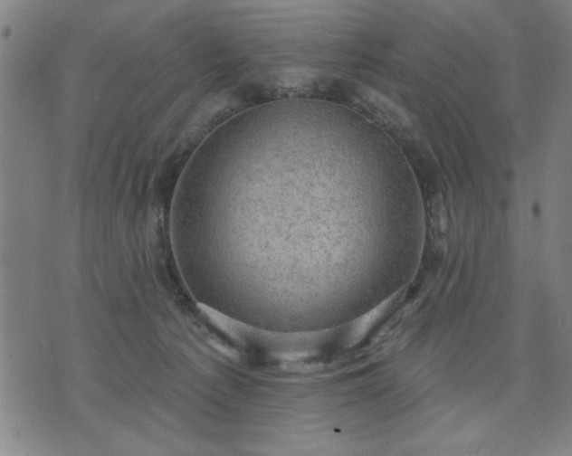 X0000076320225200610061418