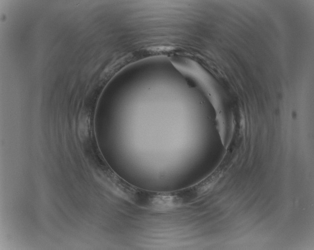 X0000076320227200610061418