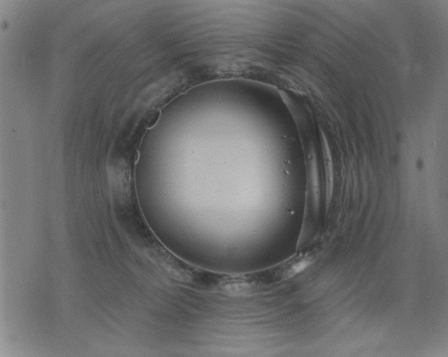 X0000076320228200610061418