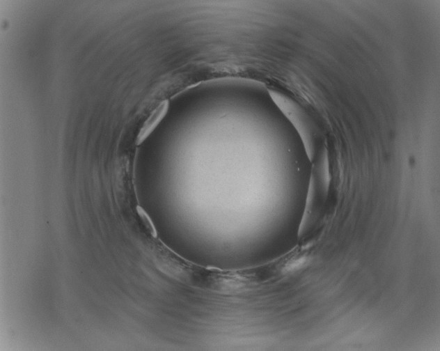 X0000076320229200610061418