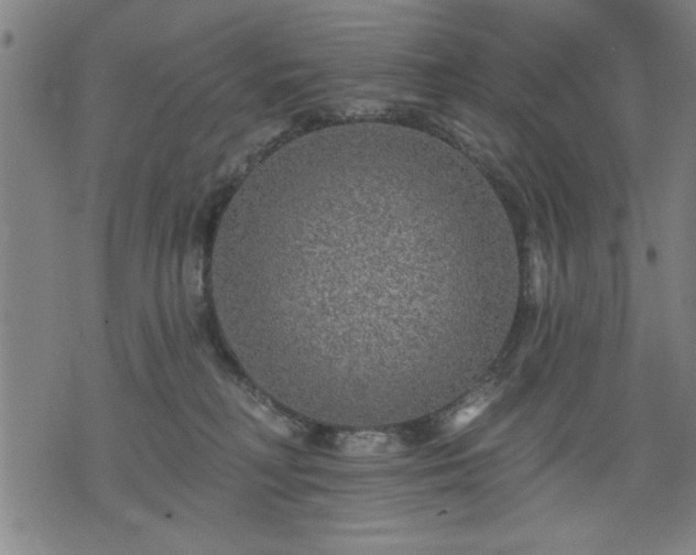 X0000076320230200610061418