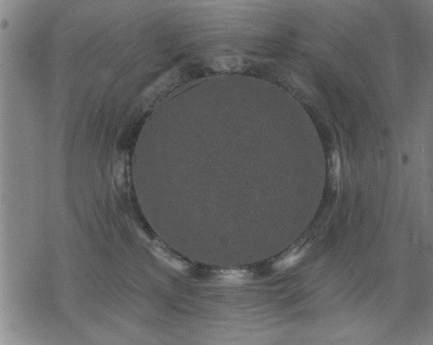 X0000076320233200610061418