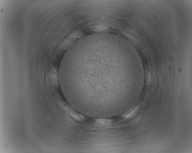 X0000076320234200610061418