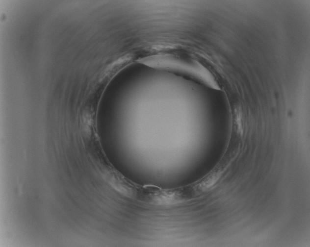 X0000076320235200610061418