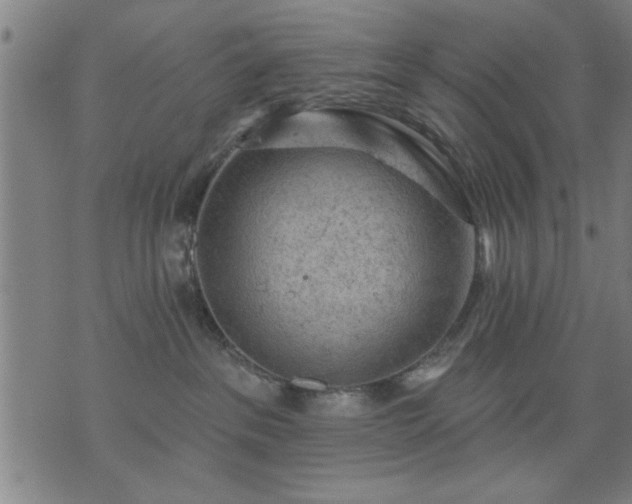 X0000076320237200610061418