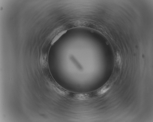 X0000076320239200610061418