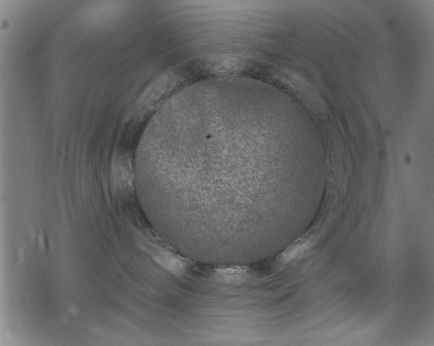 X0000076320240200610061418